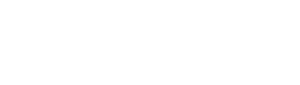 vaillant logo white